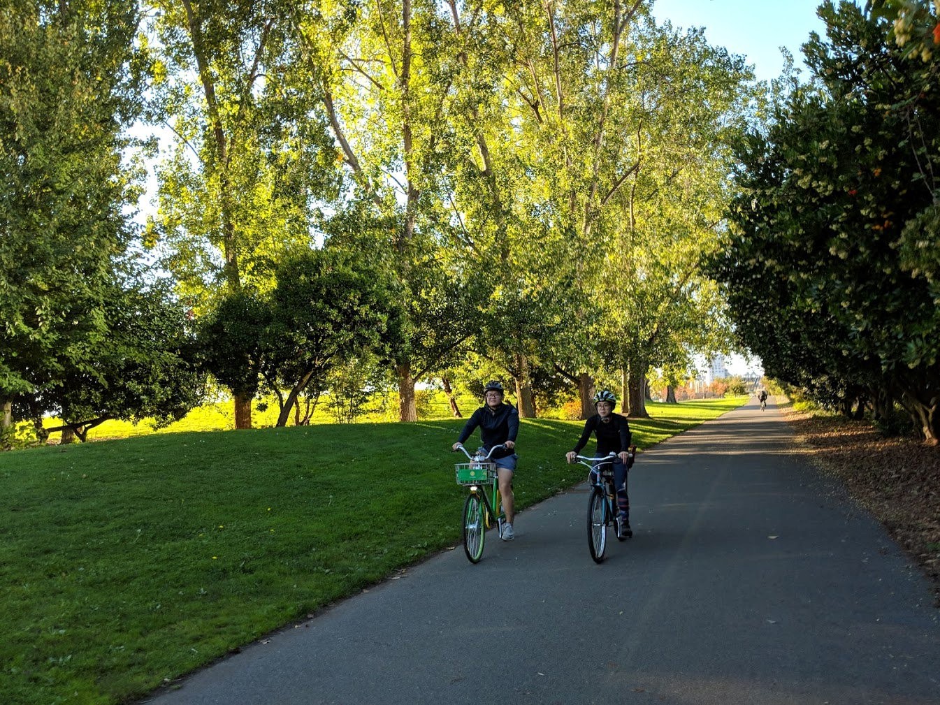 Bikers on Elliot Bay Trail