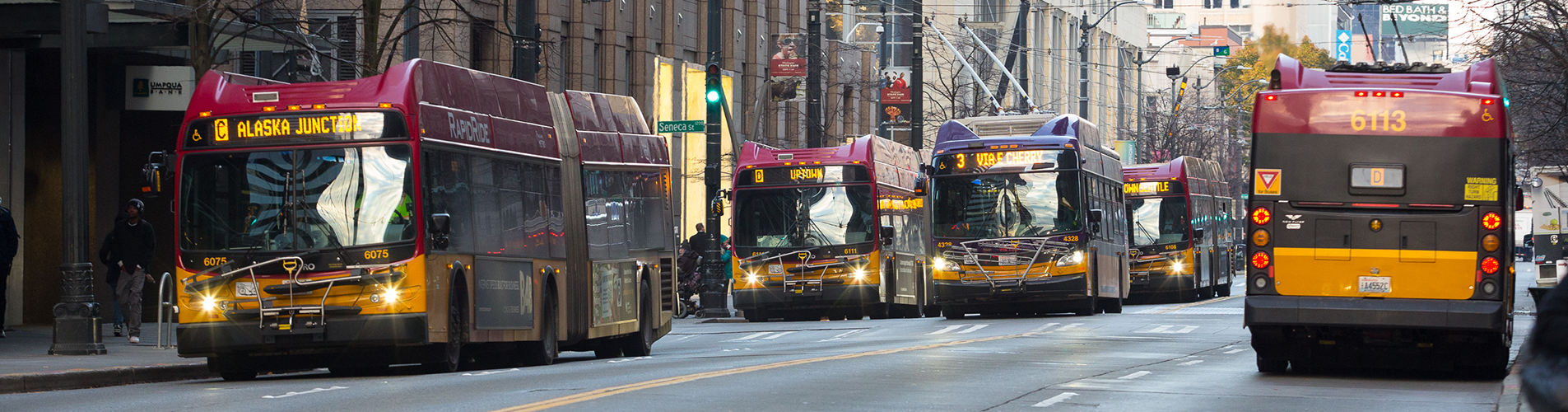 Buses on a downtown street